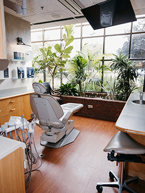 Our modern dental exam room with chair, tools, and large windows with plants, conveying a calm, welcoming environment.